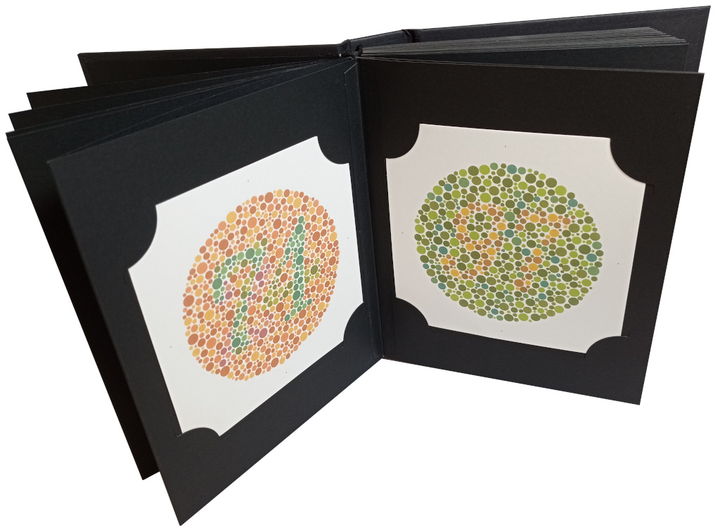 Ishihara-Farbsehtest – 38 Tafeln
