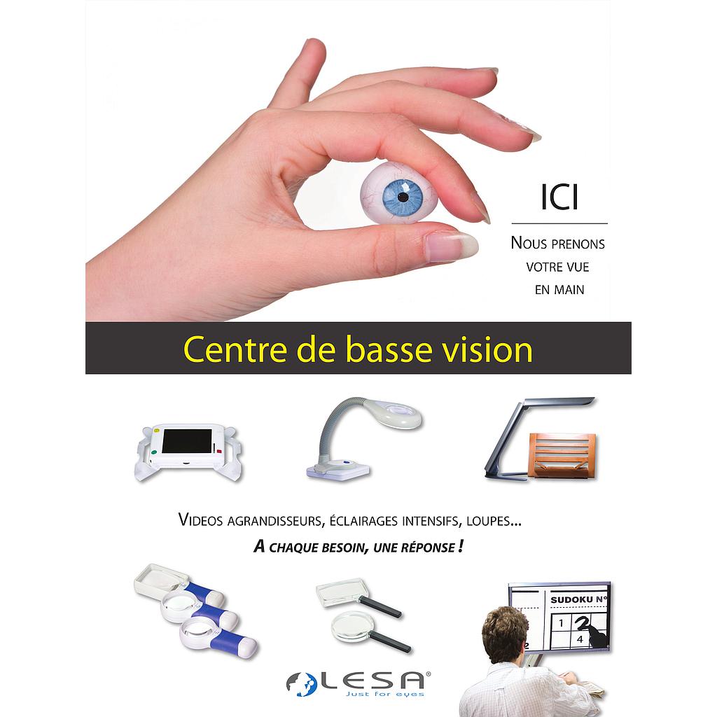 Affiche "Prenez votre vue en main" 610x900mm